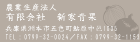 農業生産法人 有限会社　新家青果 兵庫県洲本市五色町鮎原中邑1005 TEL:0799-32-0024／FAX:0799-32-1153