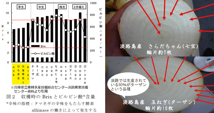 品種の限定